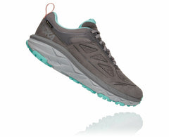 Women's Challenger Low GORE-TEX Charcoal Gray / Wild Dove