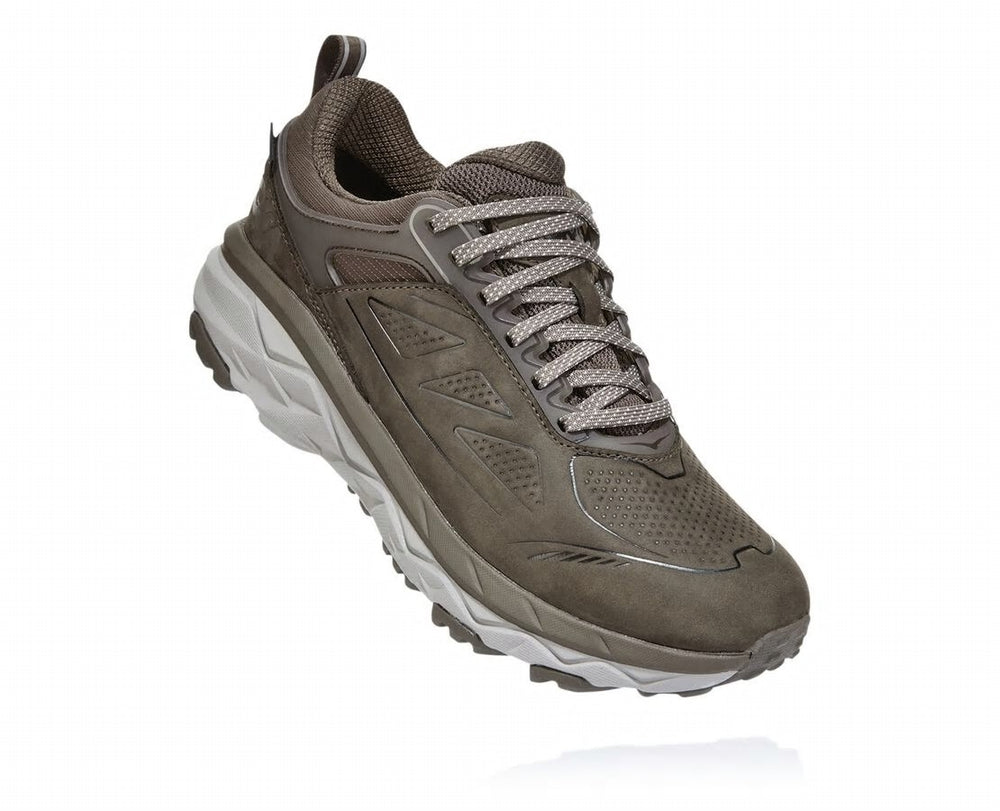 Women's Challenger Low GORE-TEX Major Brown / Heather