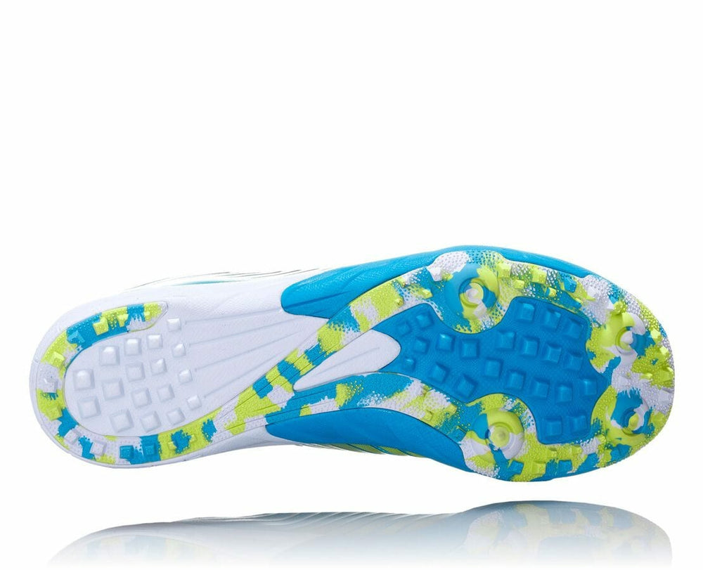 Women's EVO XC Spikeless Cyan / Citrus